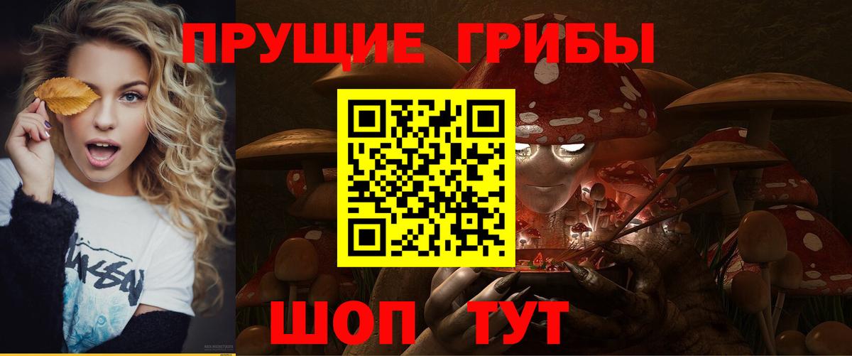 Дедовск  Псилоцибиновые грибы Magic Shrooms  Вход с VPN  Псилоцибиновые грибы прущие грибы 